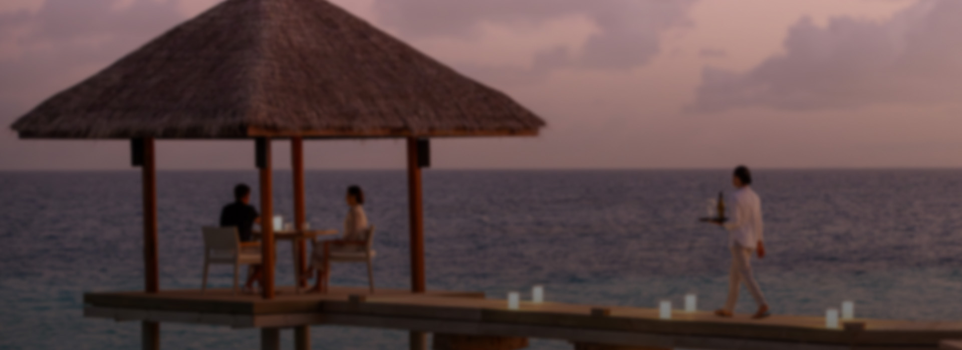 MAX SZ WEBSITE BANNER