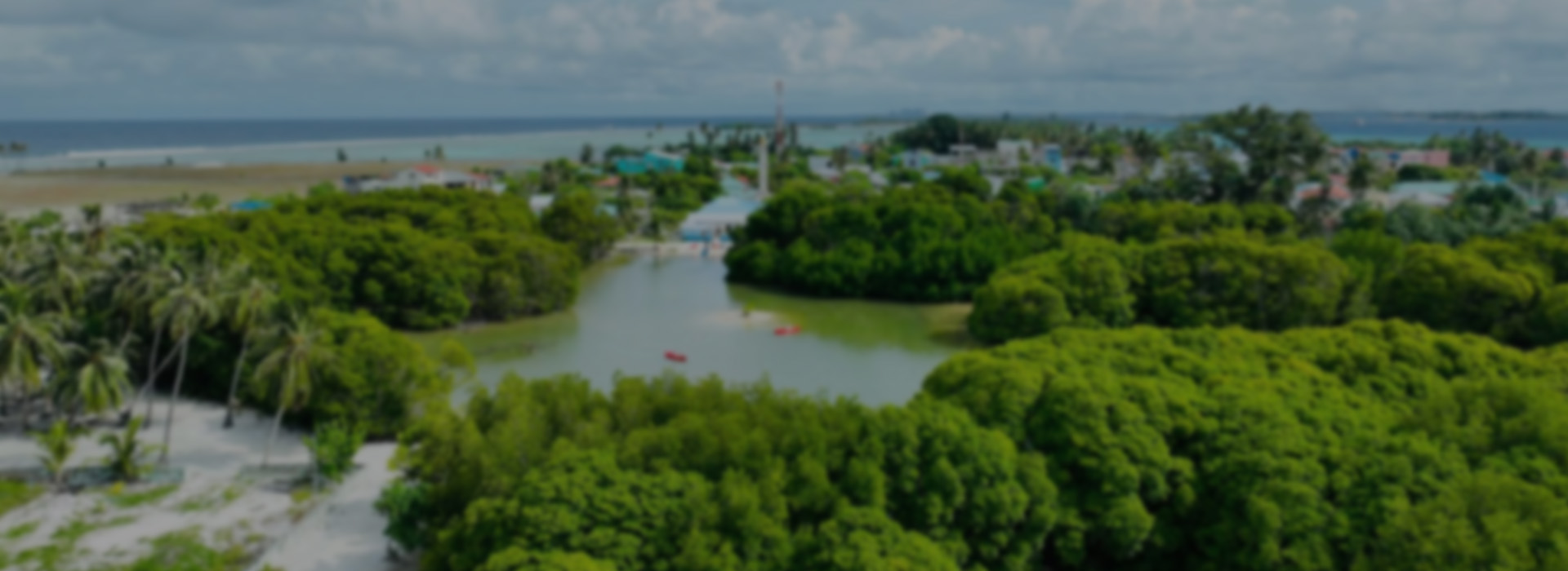 MAX SZ WEBSITE BANNER