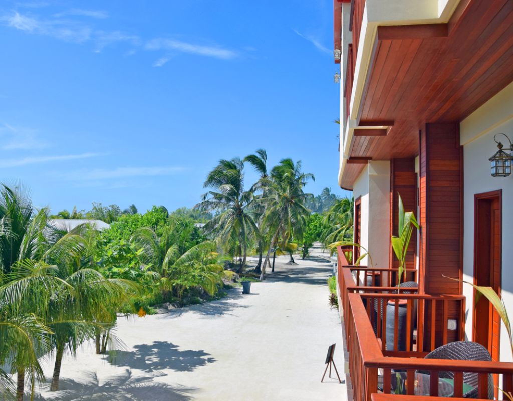 Untitled design (51)