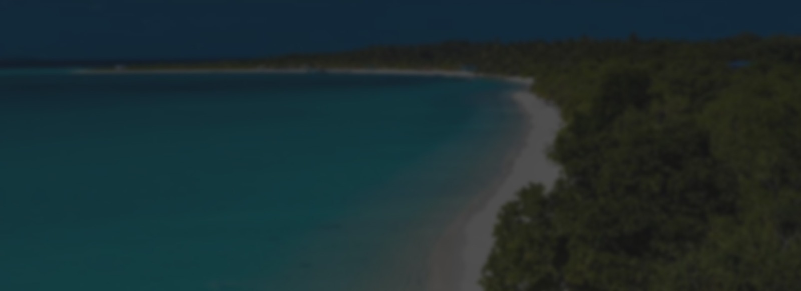 d59b5bd1-39cd-49ca-b99b-a1fccde7ec6b