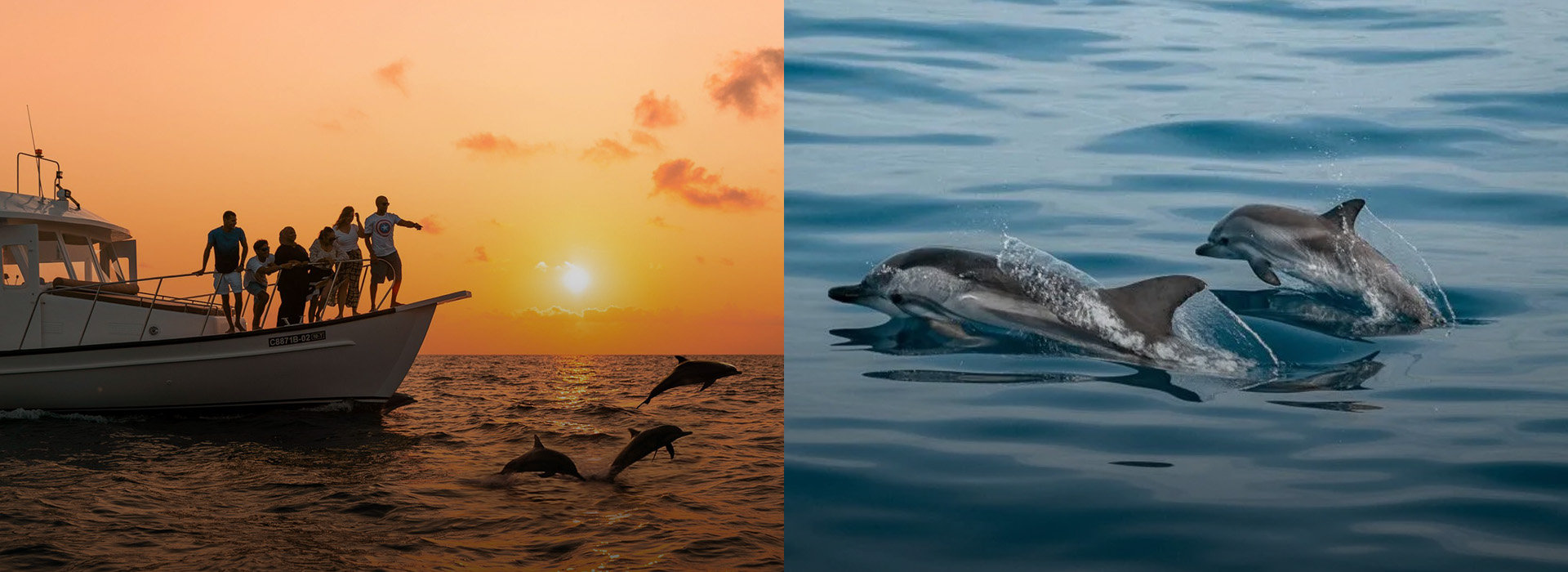 gfghdgfdgfdgfgdfgdgdfgfgfdgfdggfggfggfggfdg