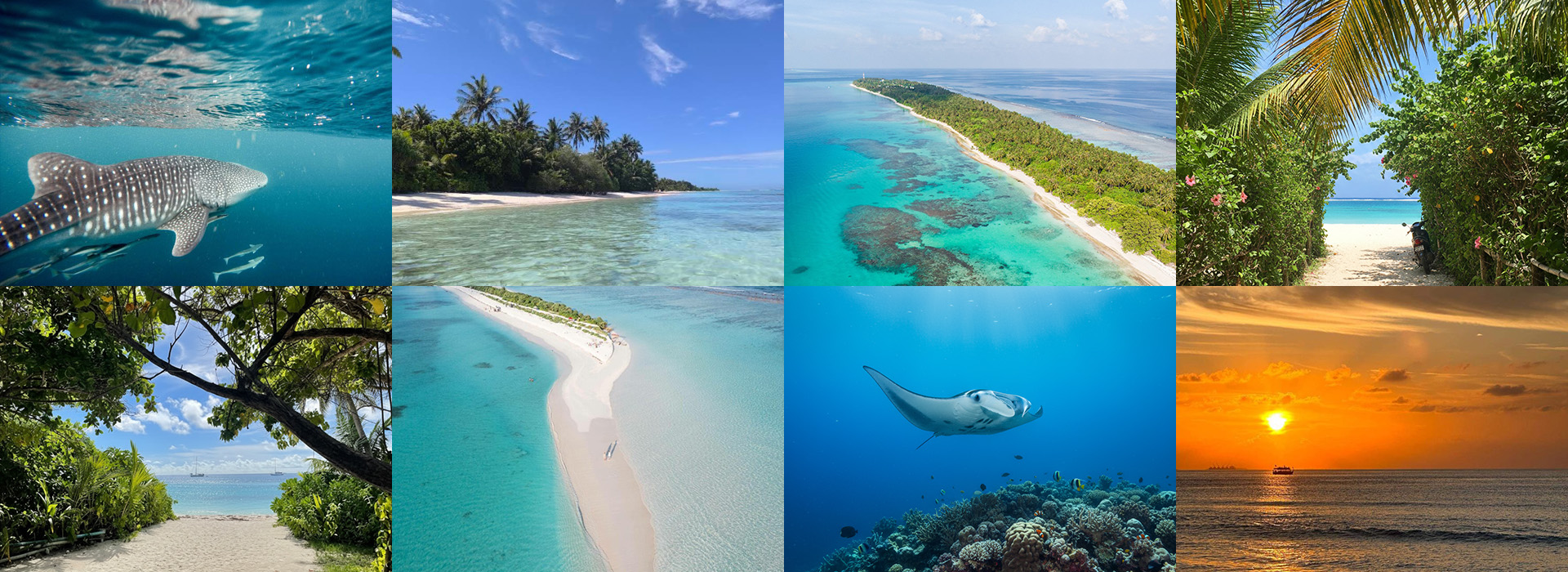 MAX SZ WEBSITE BANNER