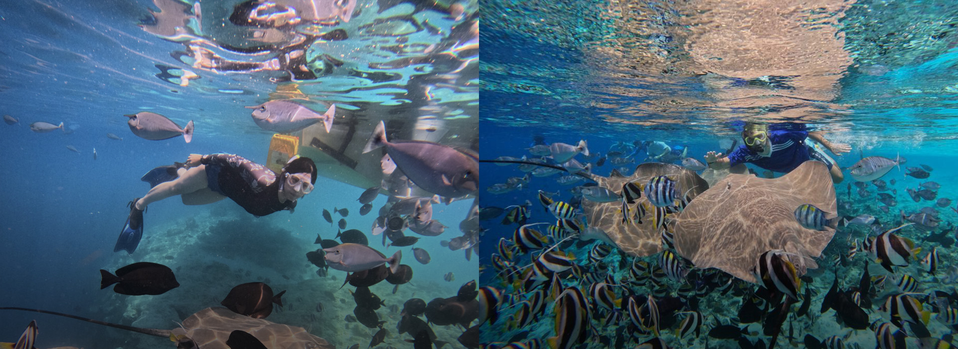 fsldkfjslkfjlk dfFINAD D;F